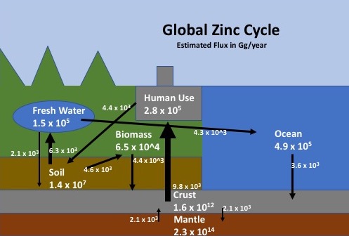 zinkfig1Global Zinc Cycle